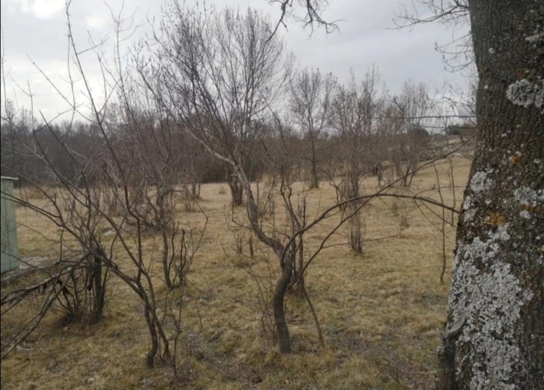 Terreno en venta en Lozoyuela-Navas-Sieteiglesias, Madrid photo 2