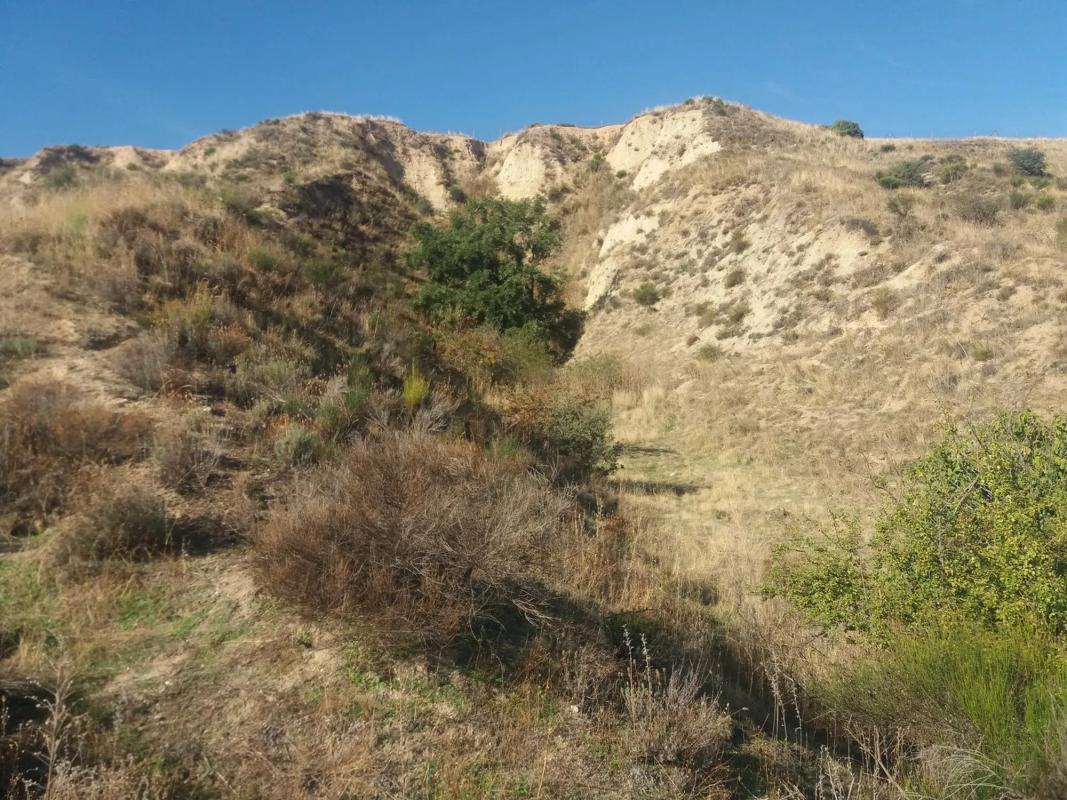 Terreno en venta en El Molar, Madrid photo 3