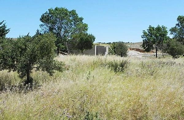 Terreno en camino de Alvir photo 2