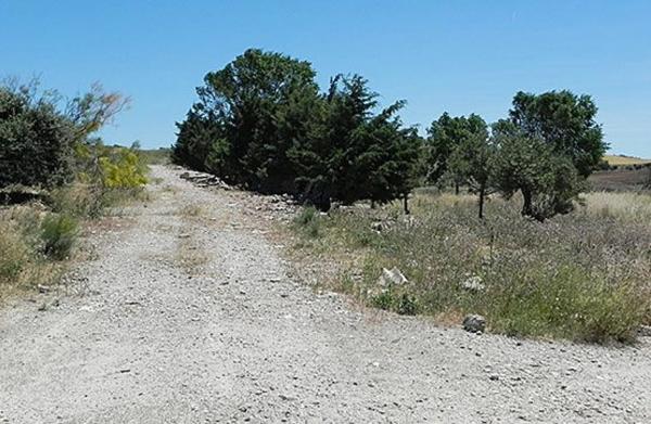 Terreno en camino de Alvir photo 3