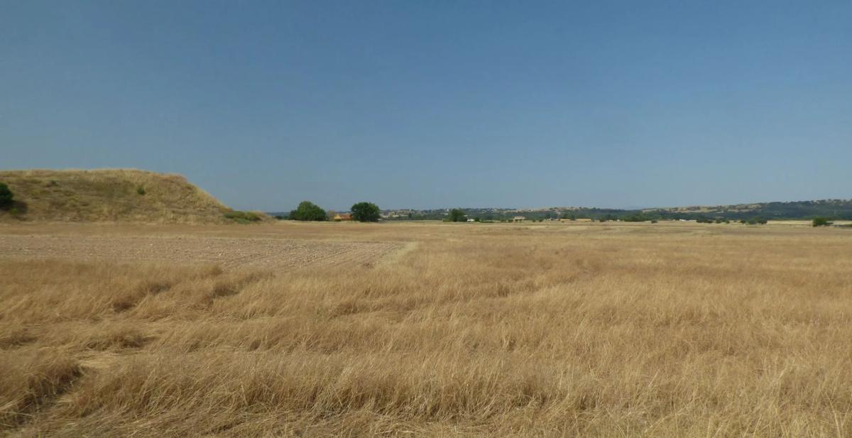 Terreno en venta en Fuente el Saz de Jarama, Madrid photo 3