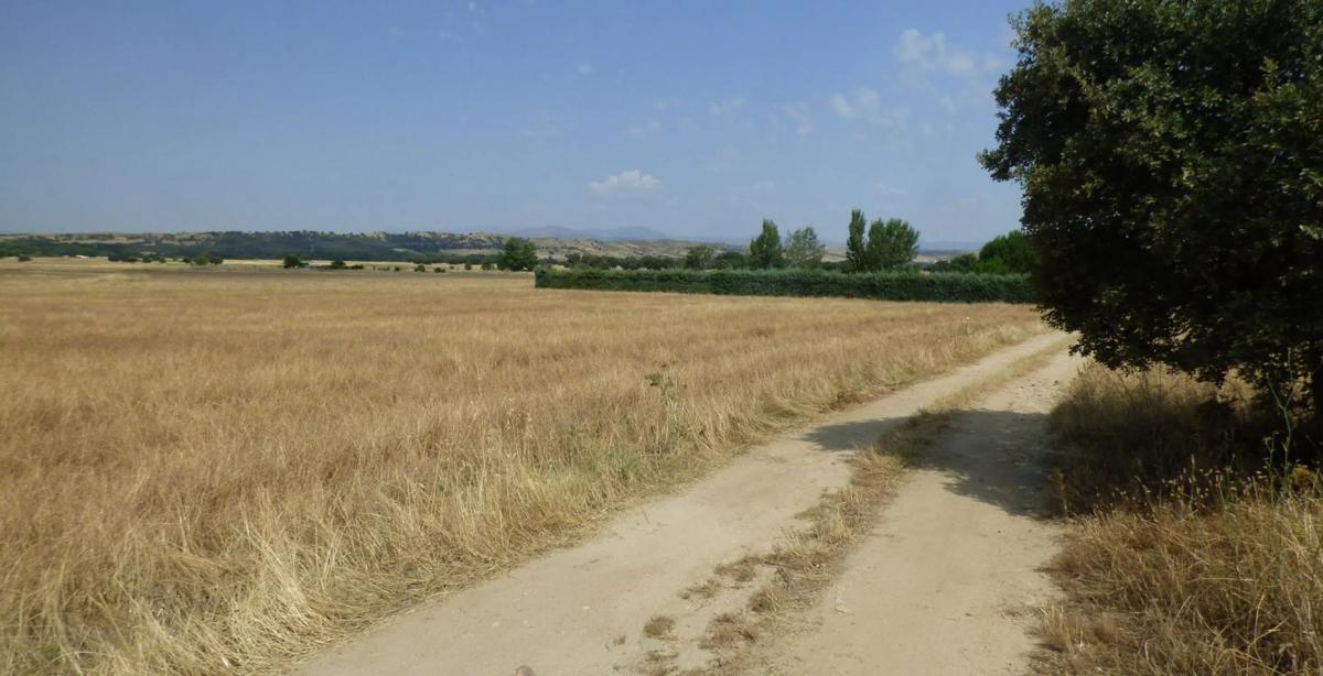 Terreno en venta en Fuente el Saz de Jarama, Madrid photo 5