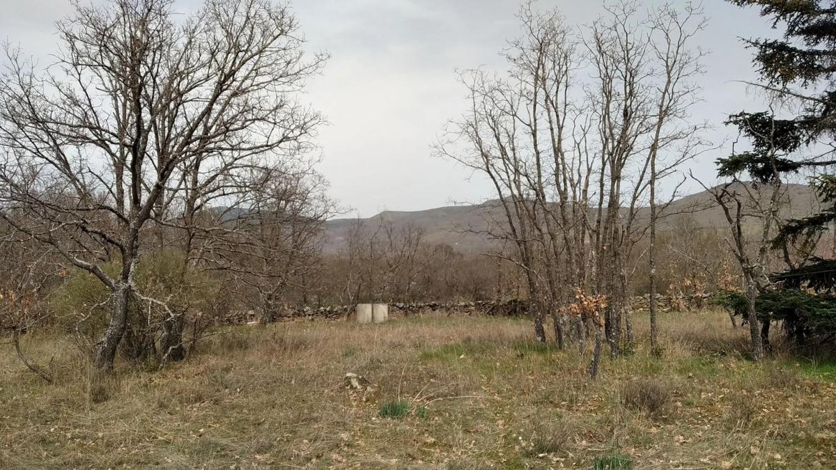 Участок земли на продажу в Оркахо-де-ла-Сьерра, Мадрид photo 5