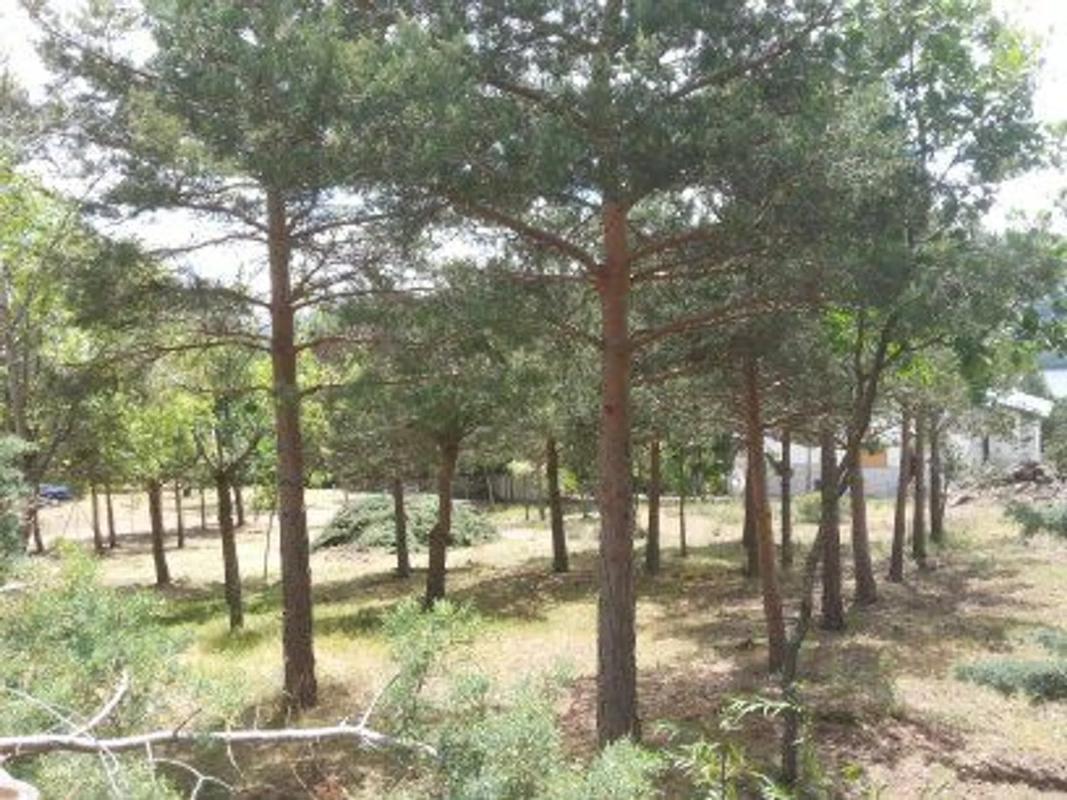 Terreno en venta en Lozoya, Madrid photo 3