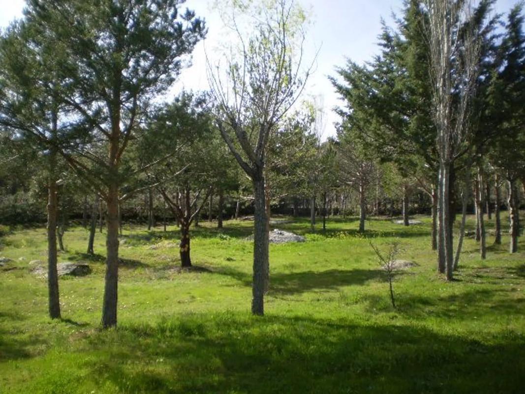 Terreno en venta en Lozoya, Madrid photo 4