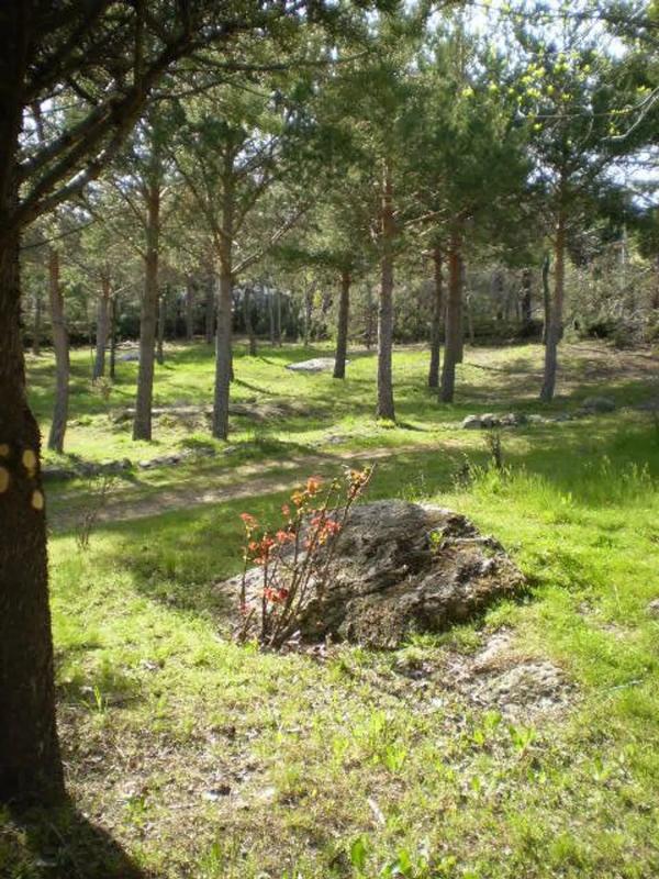 Terreno en venta en Lozoya, Madrid photo 5