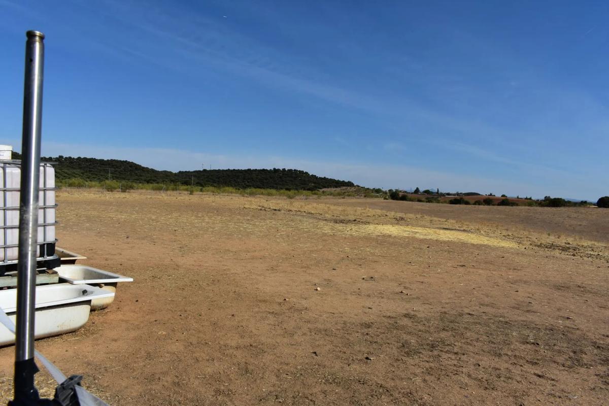 Land for sale in Ribatejada, Madrid photo 1