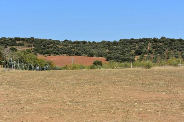 Terreno en Poligono 2 photo 2