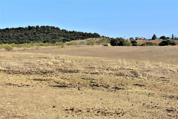 Terreno en Poligono 2 photo 4