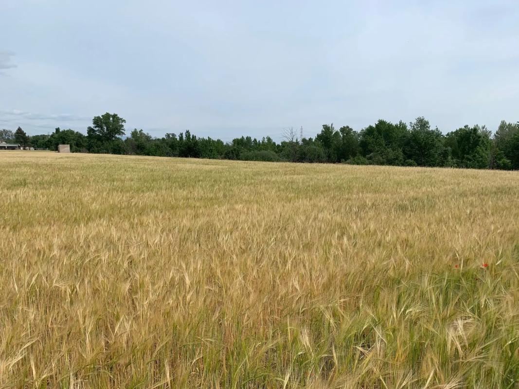 Land for sale in San Sebastián de los Reyes, Madrid photo 2