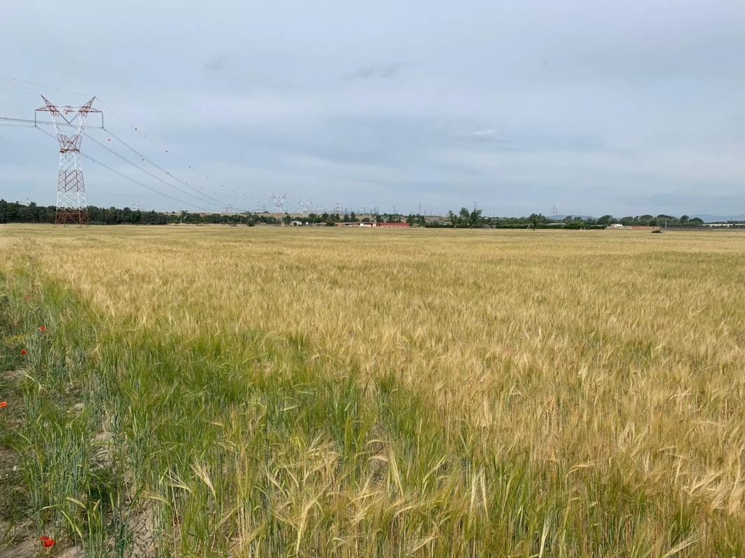 Land for sale in San Sebastián de los Reyes, Madrid photo 3