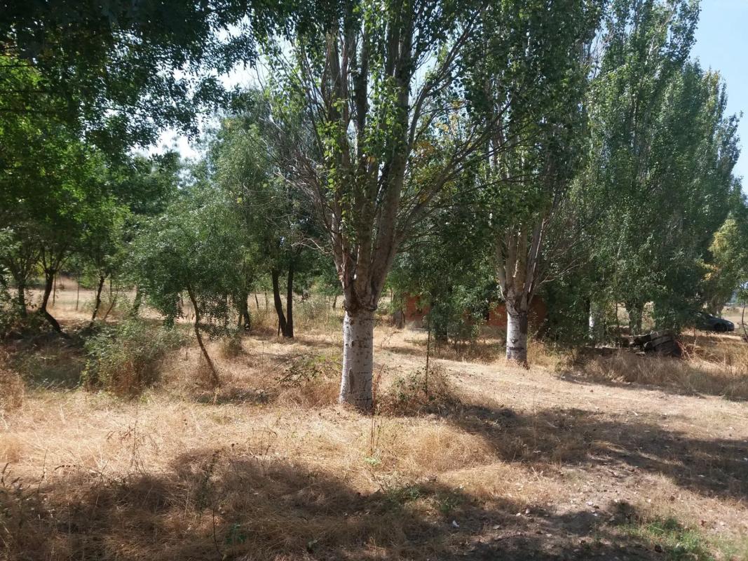 Działka na sprzedaż w Gascony, Madryt photo 5