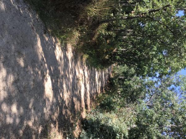 Terreno en camino Madarcos s/n photo 1