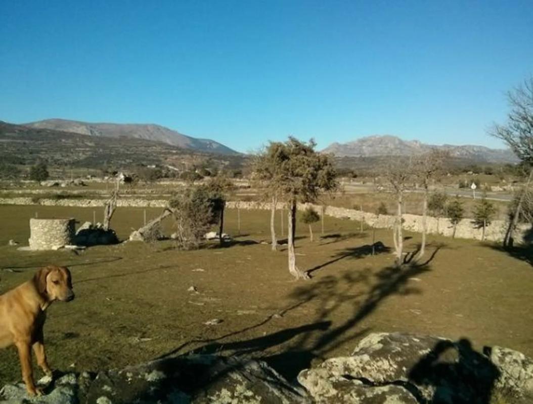 Terreno en venta en Navalafuente, Madrid photo 4