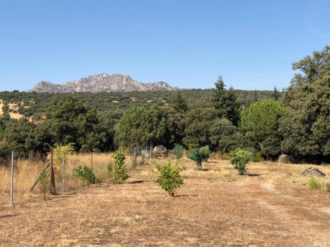 Terreno en venta en Navalafuente, Madrid photo 3
