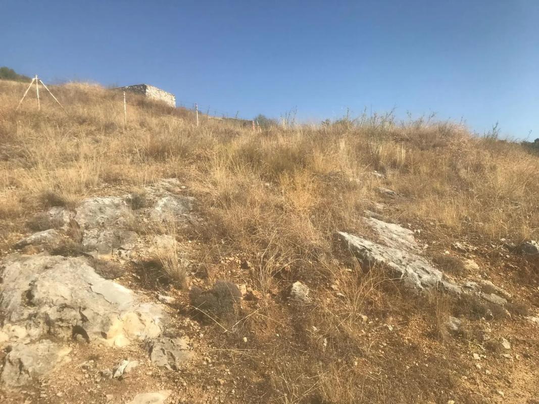 Land for sale in El Molar, Madrid photo 1