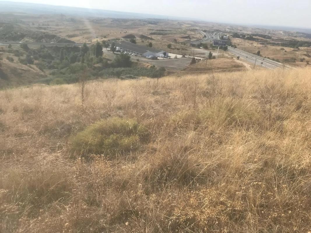 Land for sale in El Molar, Madrid photo 2
