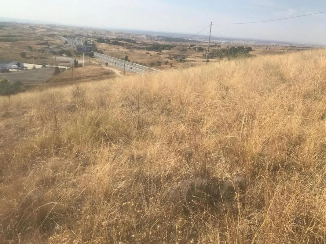 Land for sale in El Molar, Madrid photo 3