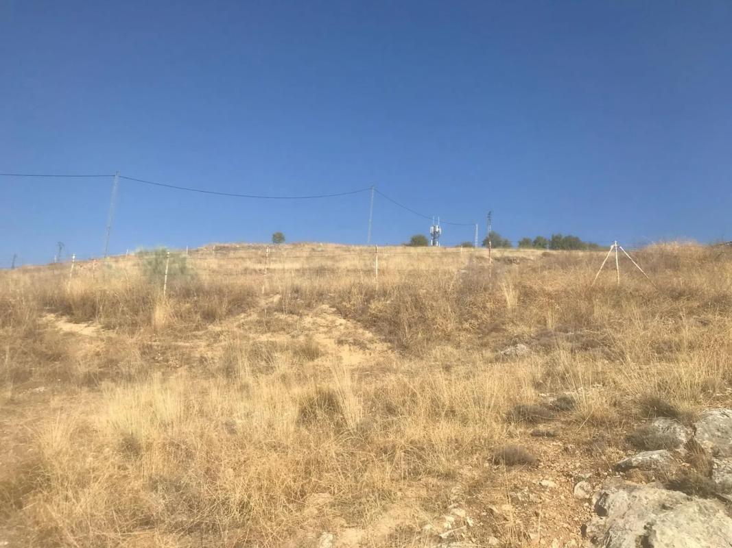Land for sale in El Molar, Madrid photo 5