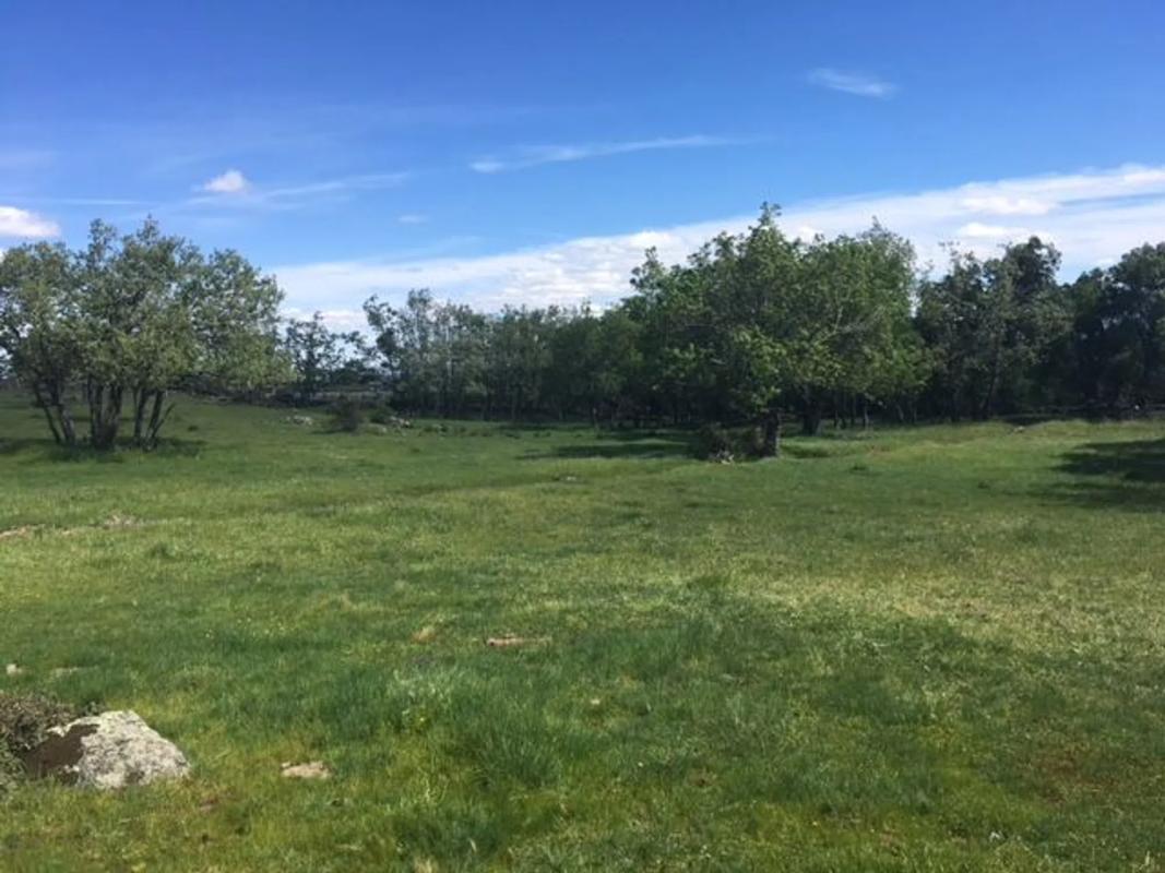 Terreno en venta en Bustarviejo, Madrid photo 2