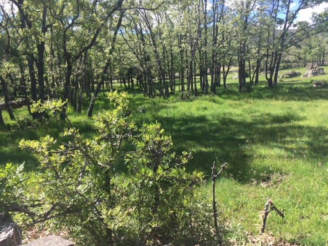 Terreno en venta en Bustarviejo, Madrid photo 4
