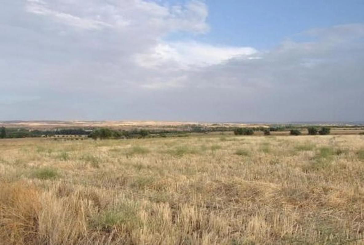 Terreno en venta en Talamanca de Jarama, Madrid photo 1
