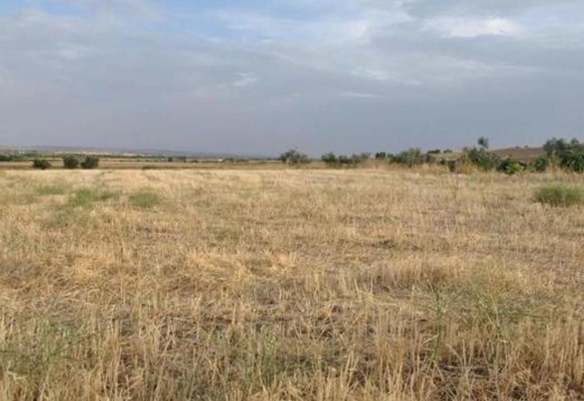 Terreno en venta en Talamanca de Jarama, Madrid photo 2
