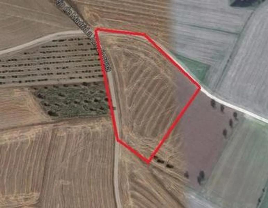 Terreno en venta en Talamanca de Jarama, Madrid photo 4