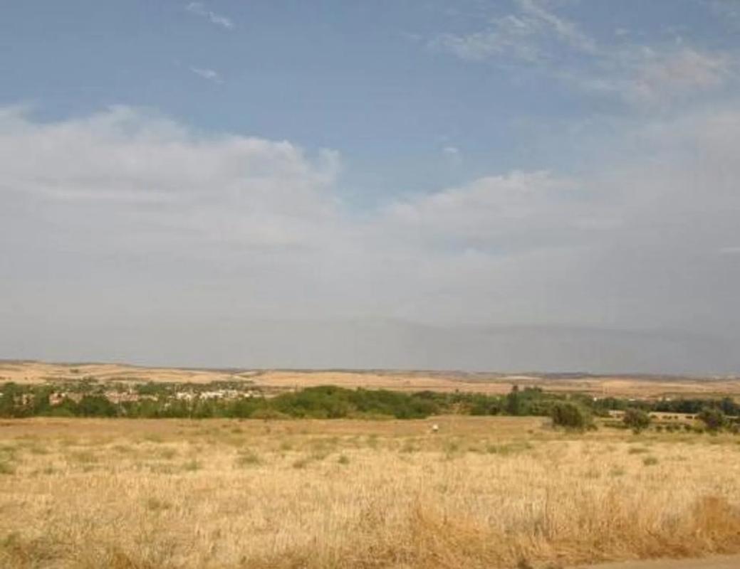 Terreno en venta en Talamanca de Jarama, Madrid photo 5