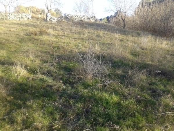 Terreno en M-610, km 9 photo 1