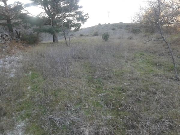 Terreno en M-610, km 9 photo 3