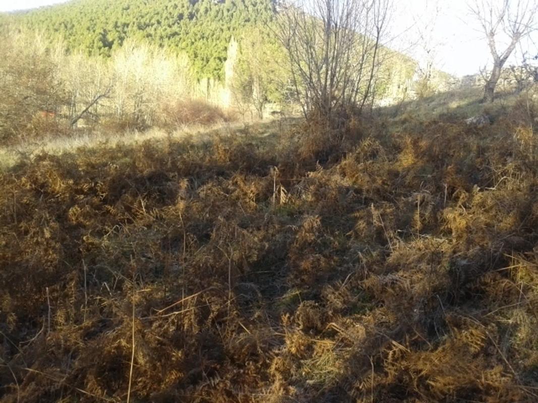 Terreno en venta en Bustarviejo, Madrid photo 4