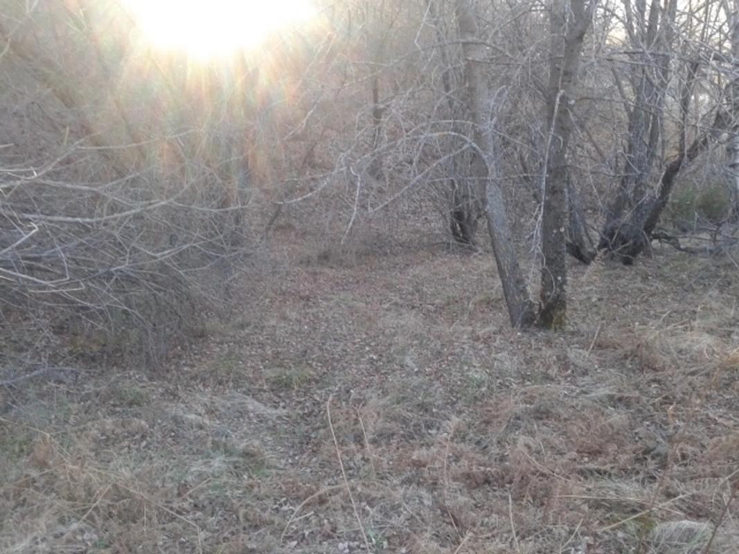 Terreno en venta en Bustarviejo, Madrid photo 5
