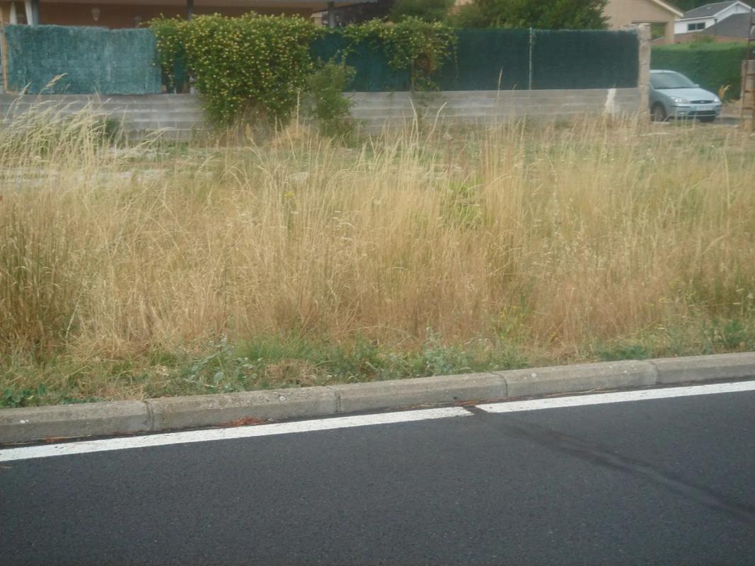 Terreno en venta en Manzanares el Real, Madrid photo 1