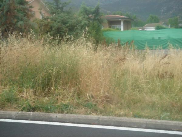 Terreno en avenida de la Ponderosa s/n thumbnail 1