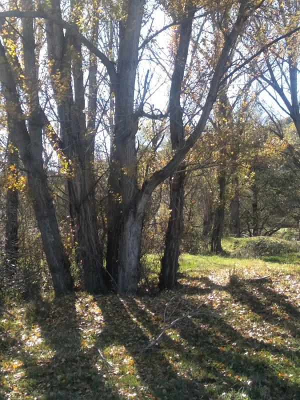 Terreno en venta en Guadalix de la Sierra, Madrid photo 3