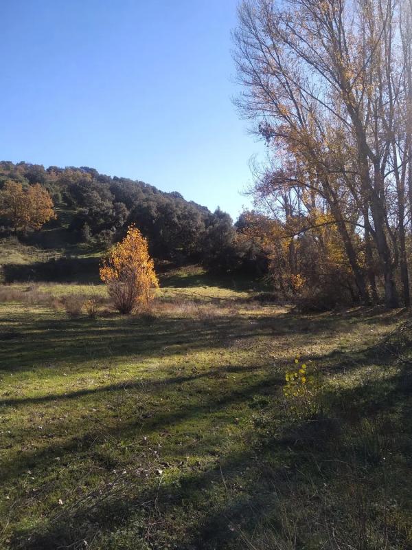 Terreno en venta en Guadalix de la Sierra, Madrid photo 4