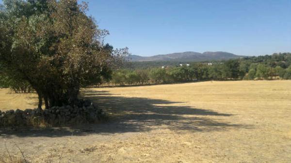 Terreno en Manzanares el Real photo 3