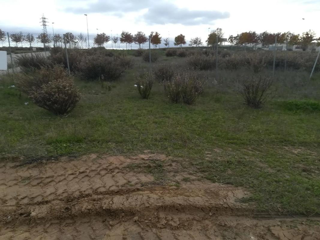 Участок земли на продажу в Алкоборн, Мадрид photo 1
