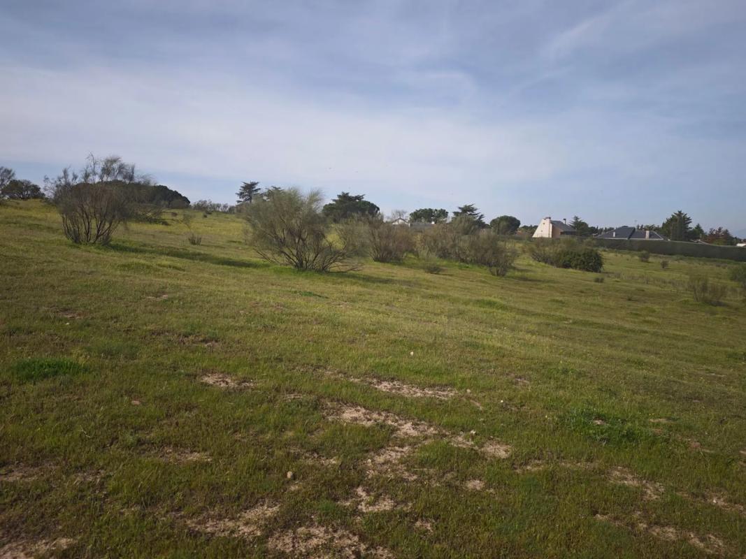 Terreno en venta en Alcorcón, Madrid photo 5
