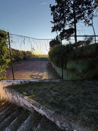 Terreno en calle Perdiz, 13 photo 4