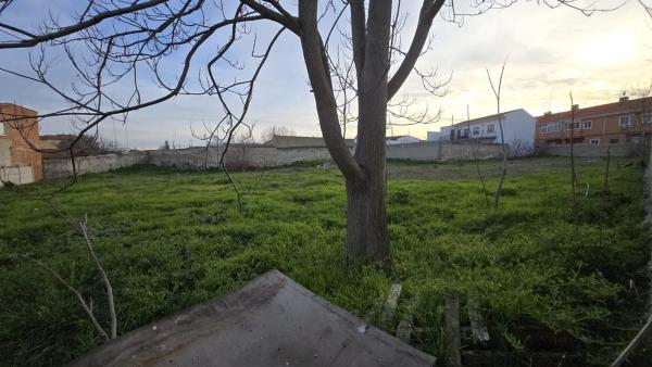 Terreno en Del Valle photo 1