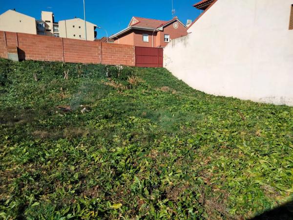 Terreno en calle Arroyo, 7 photo 2