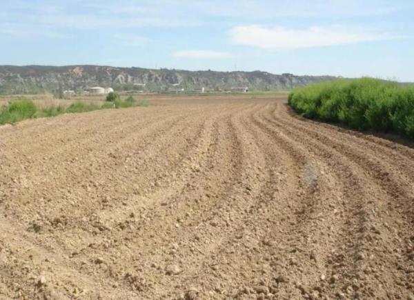 Terreno en camino de Ciempozuelos a San Martín de la Vega photo 4