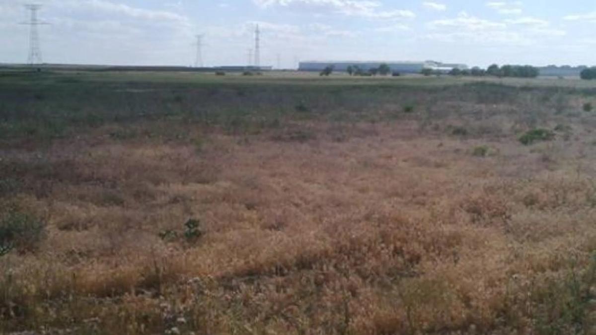 Terreno en venta en Ciempozuelos, Madrid photo 2