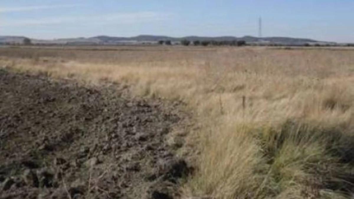 Terreno en venta en Ciempozuelos, Madrid photo 3