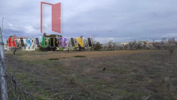 Terreno en Casco Antiguo sur photo 1