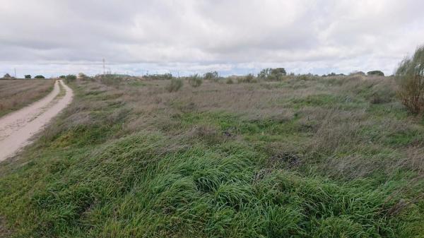 Terreno en vereda Toledana, 1 PolgonoParcela thumbnail 2