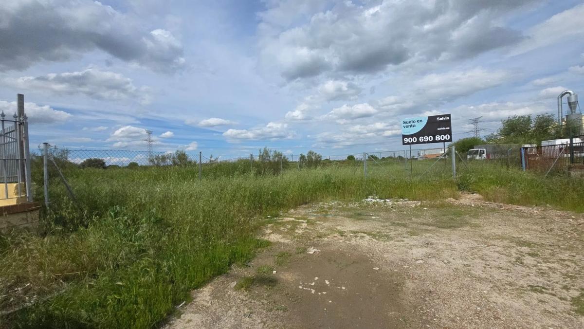 Land for sale in Griñón, Madrid photo 5