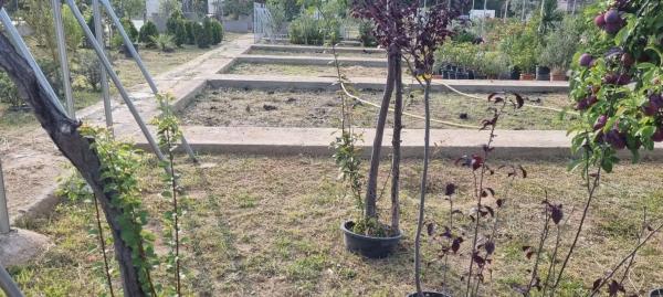 Terreno en calle Humanes photo 1